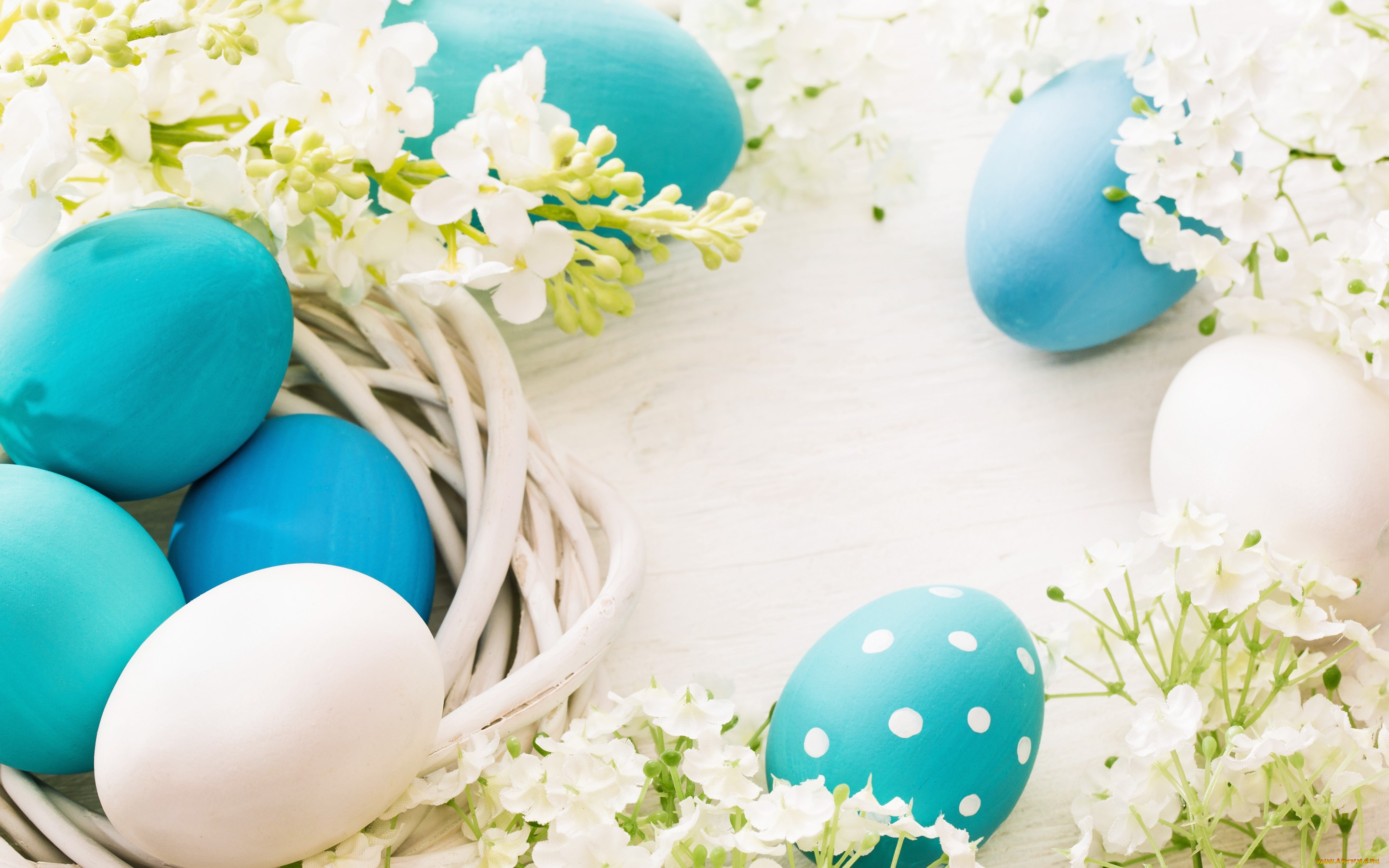 , , flowers, decoration, spring, easter, eggs, happy, , , 